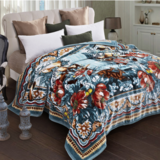 富安娜-单层拉舍尔毛毯-绿野仙踪