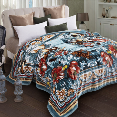 富安娜-单层拉舍尔毛毯-绿野仙踪