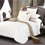 富安娜-澳洲羊毛被